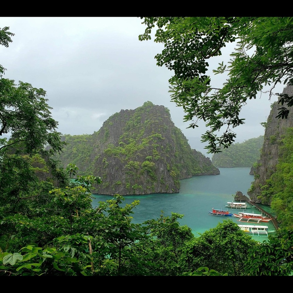 Meet your Posher, Alain